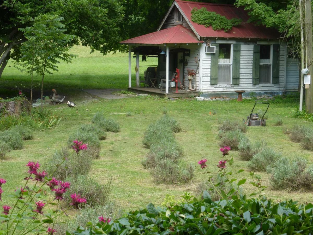 Mulberry Lavender Farm And B&B Exterior foto